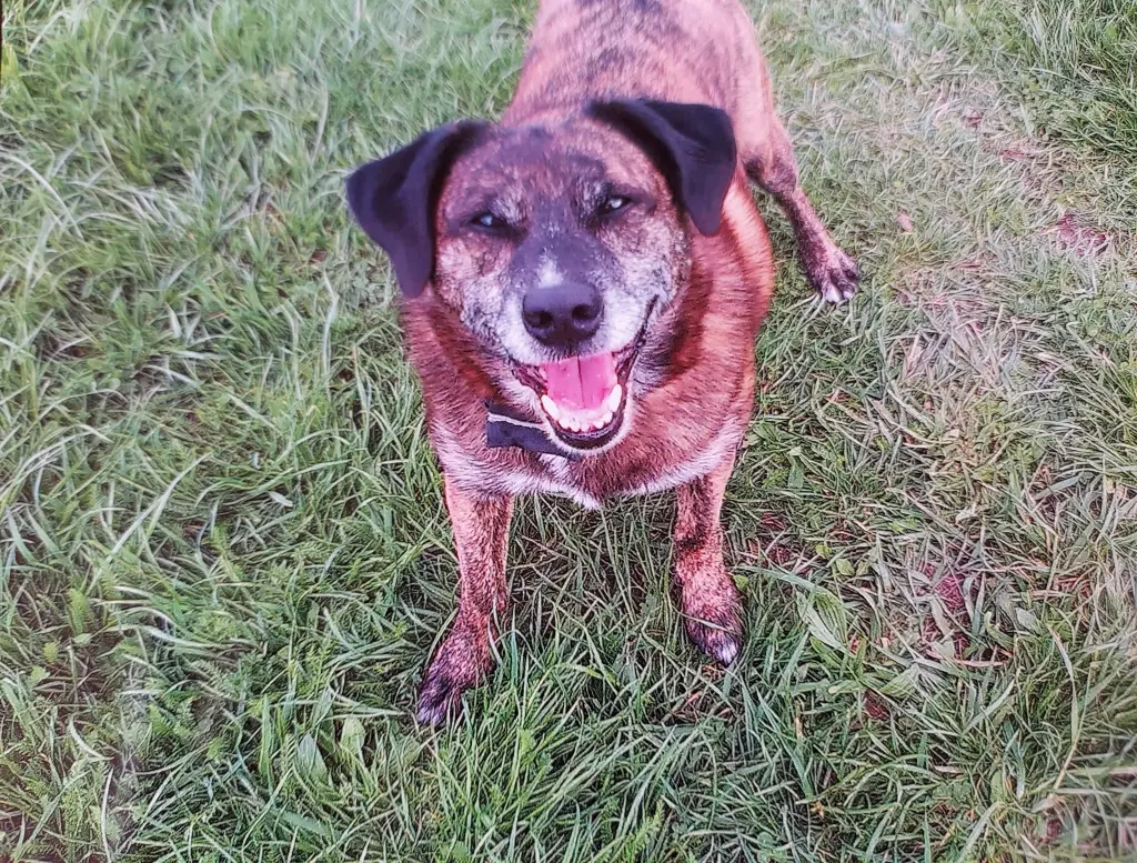 Andachtsbild von Gabi mit Max gest.20.11.2020❣️