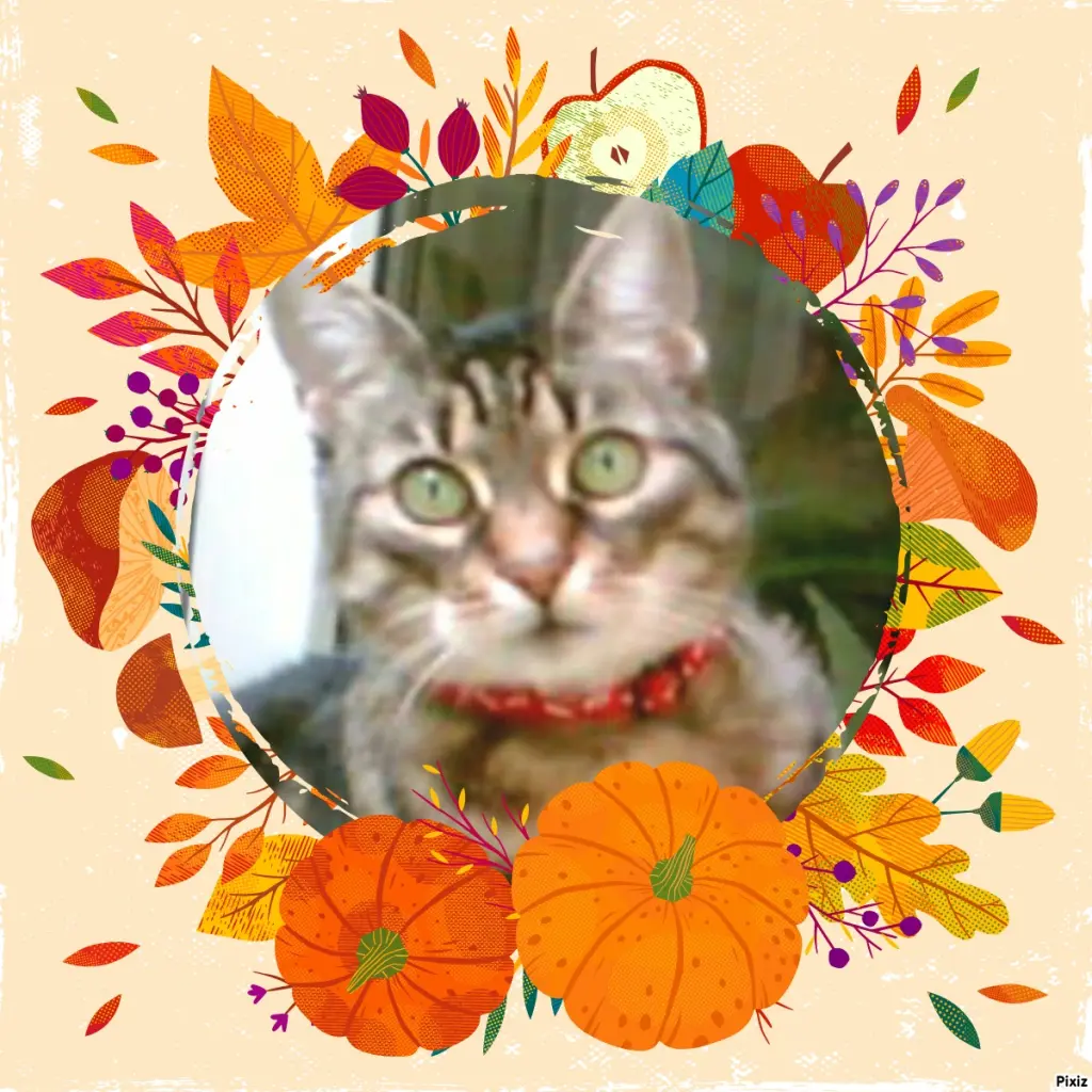 Andachtsbild von Tanja mit Timmy im Herzen 