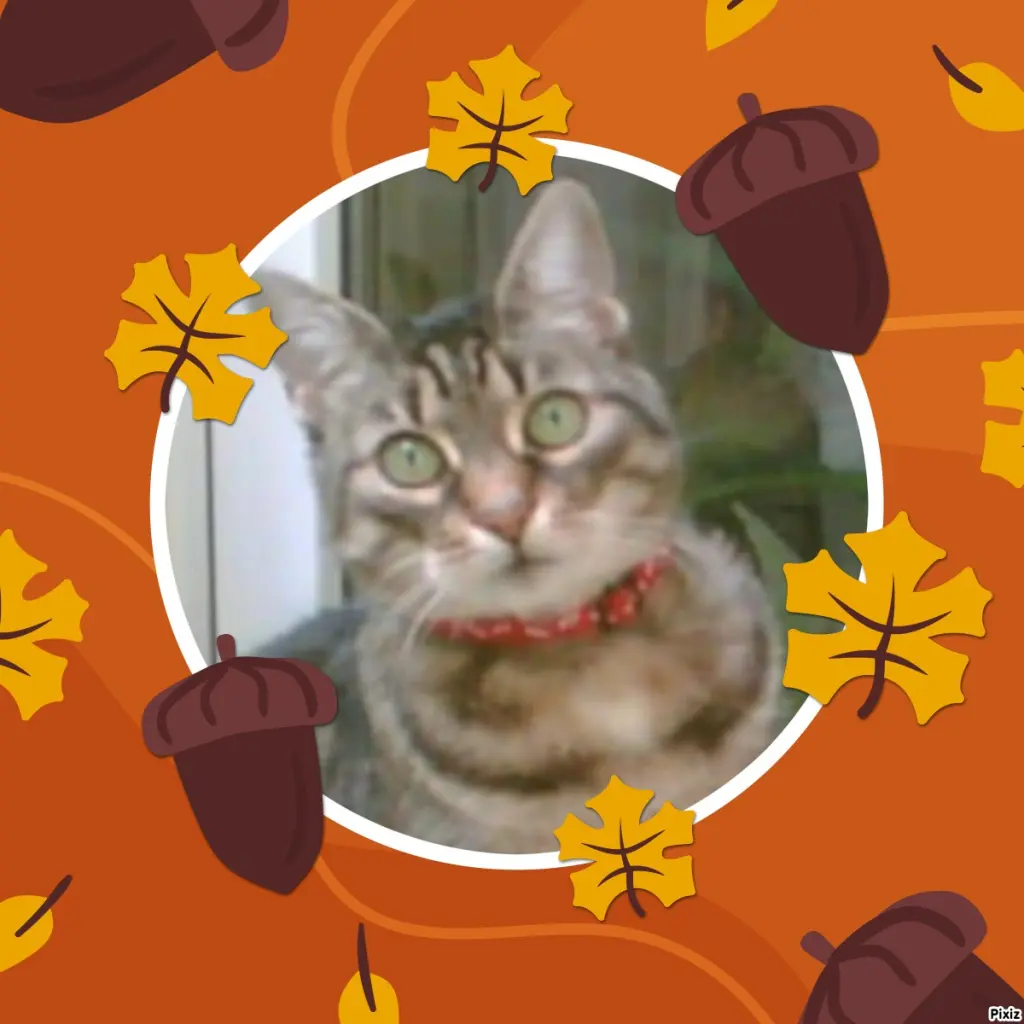 Andachtsbild von Tanja mit Timmy im Herzen