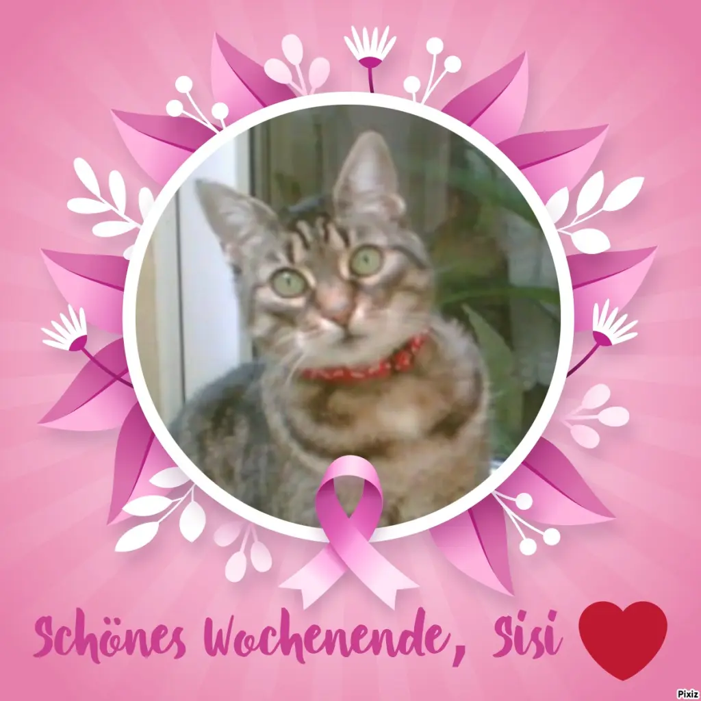 Andachtsbild von Tanja mit Timmy im Herzen 