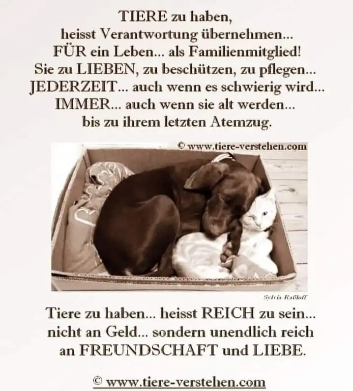 Andachtsbild von Daniela  an die kleine Sisi ❤️