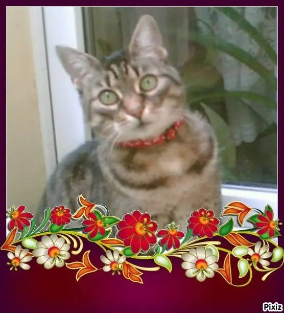 Andachtsbild von Tanja mit Timmy im Herzen 