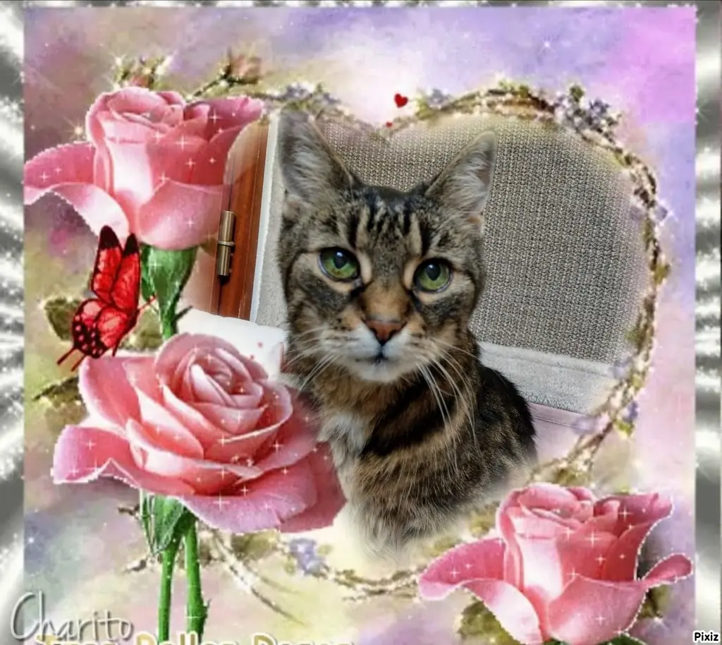 Andachtsbild von Mein allerliebstes kleines Sonnele ❤️