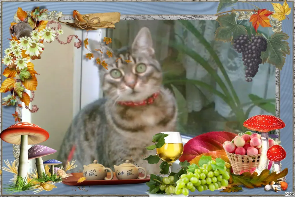 Andachtsbild von Tanja mit Timmy im Herzen 