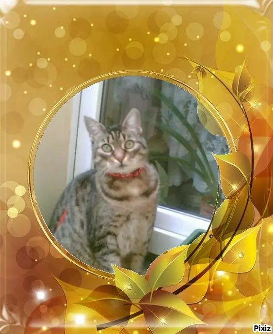 Andachtsbild von Tanja mit Timmy im Herzen