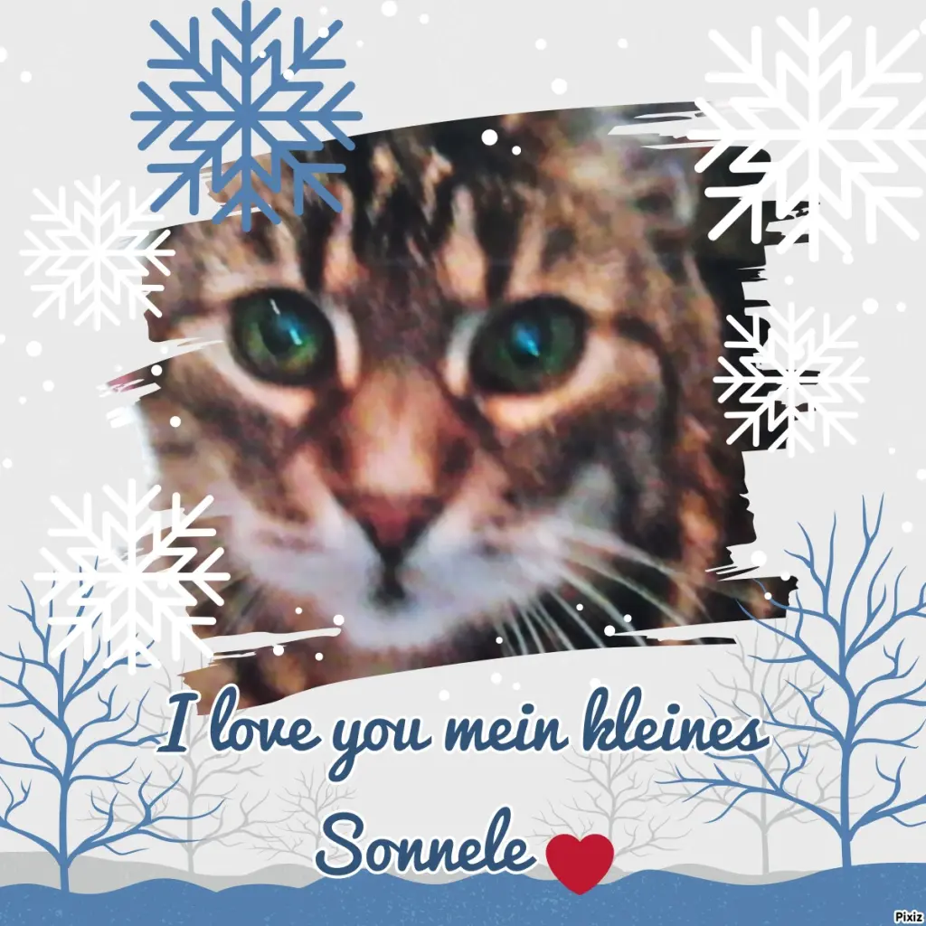 Andachtsbild von Für Dich meine kleine Puppi ♥️