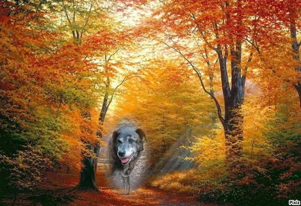 Andachtsbild von Gabi mit Max ❣️