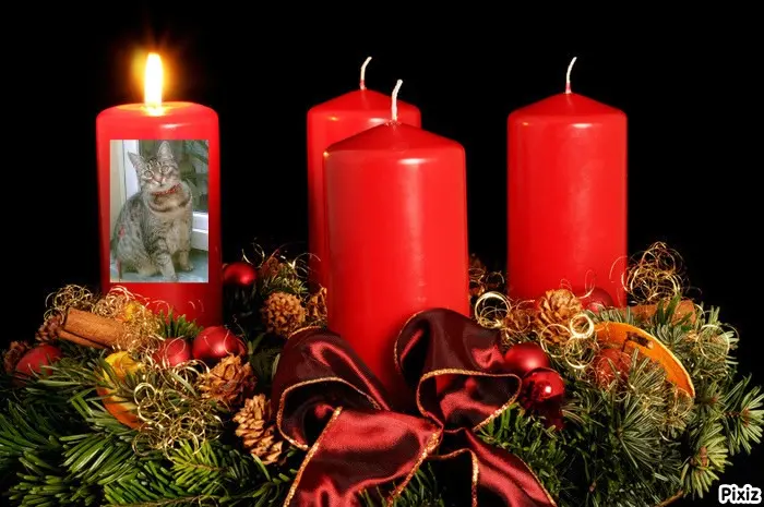 Andachtsbild von Tanja mit Timmy im Herzen 