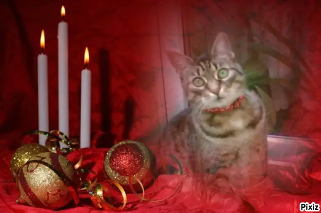 Andachtsbild von Tanja mit Timmy im Herzen 