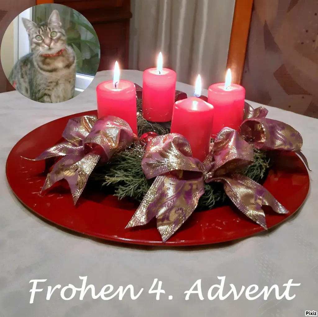 Andachtsbild von Tanja mit Timmy im Herzen 