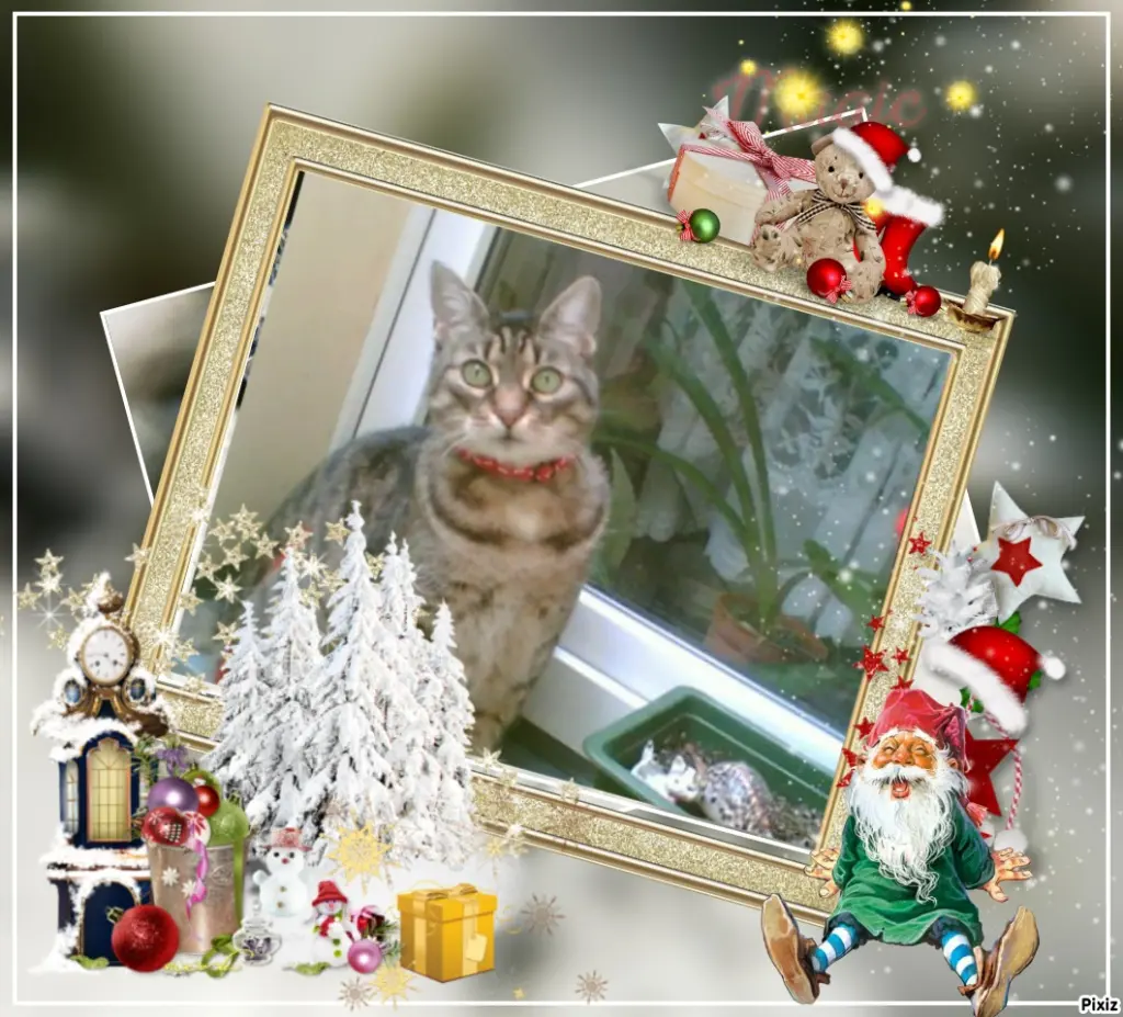 Andachtsbild von Tanja mit Timmy im Herzen 