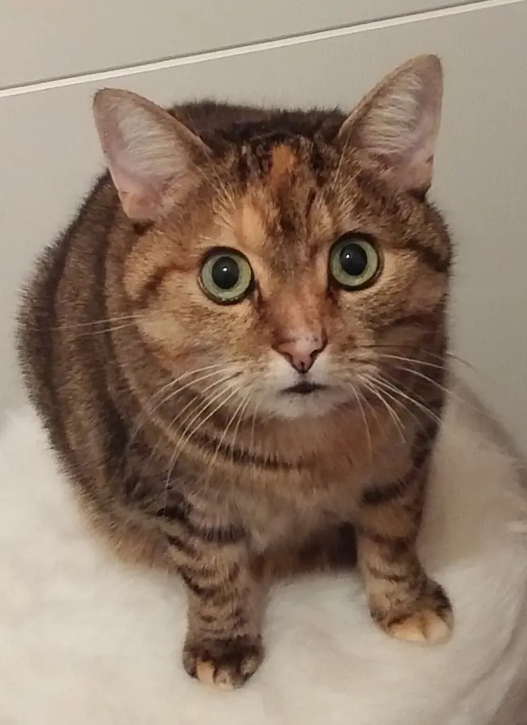 Andachtsbild von Daniela  mit Pauline im ♥️ 