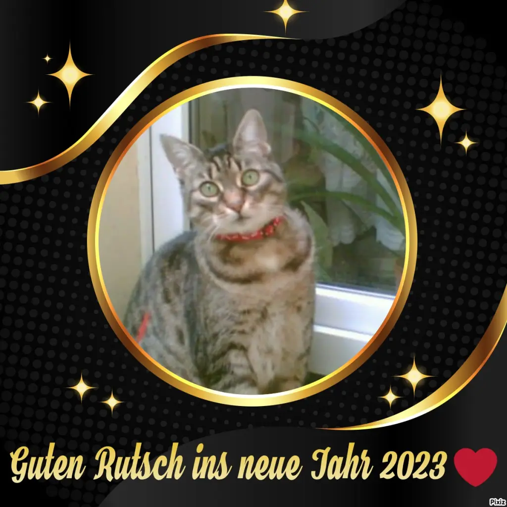 Andachtsbild von Tanja mit Timmy im Herzen 