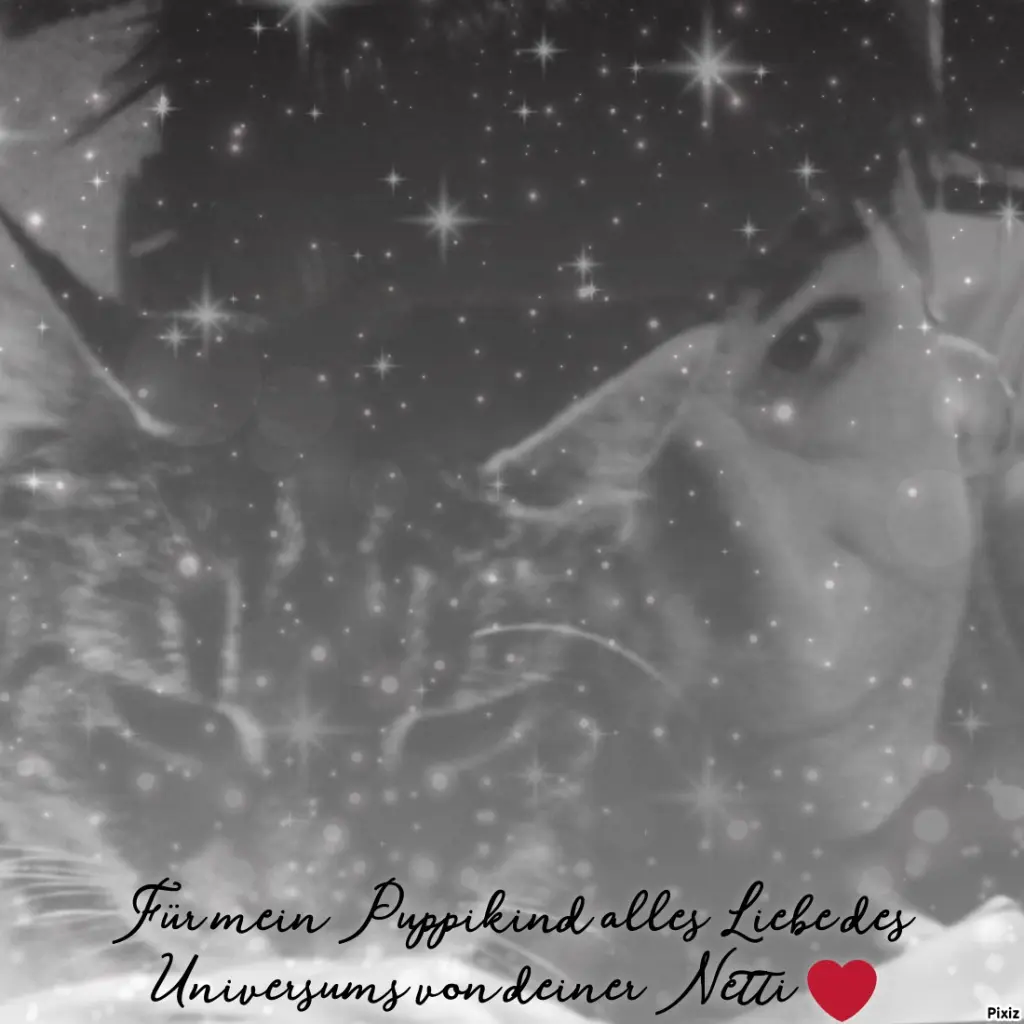 Andachtsbild von Für meine allerliebste kleine Puppi ♥️