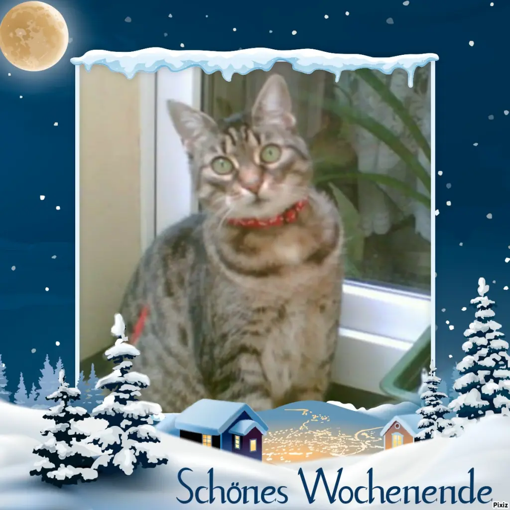 Andachtsbild von Tanja mit Timmy im Herzen