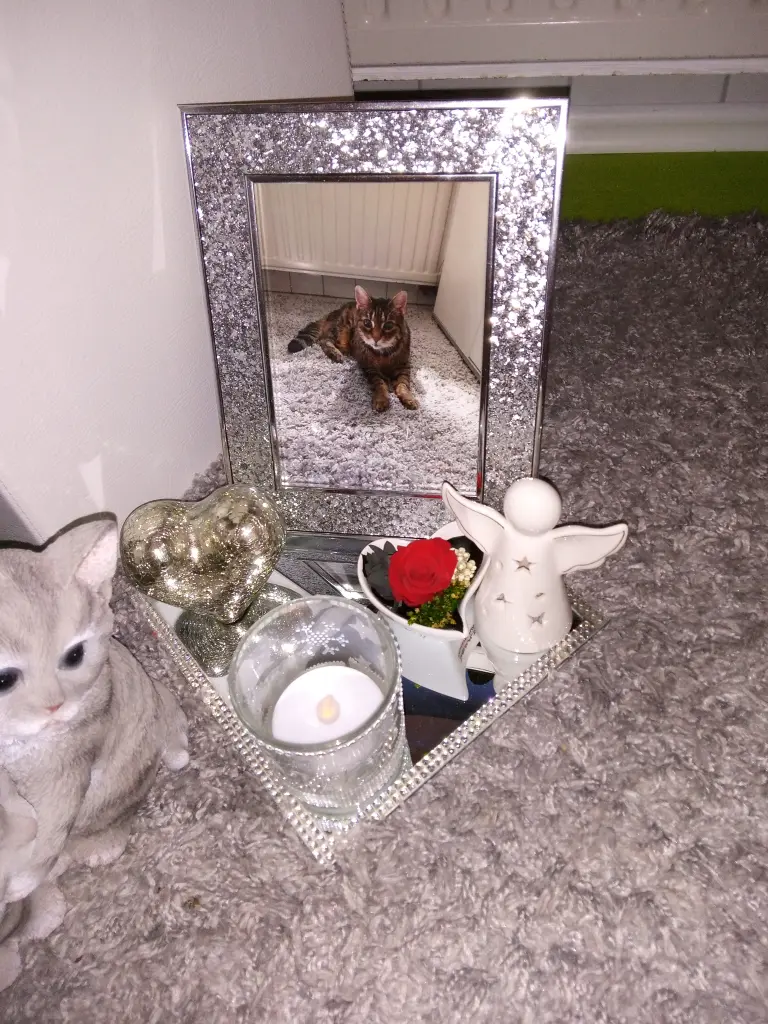 Andachtsbild von Für dich mein kleines Sonnele die du mir unheimlich fehlst♥️