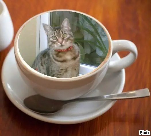 Andachtsbild von Tanja mit Timmy im Herzen 