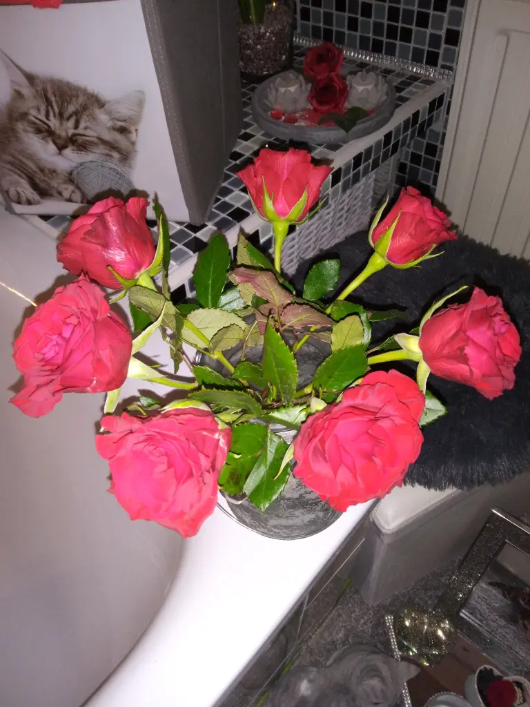 Andachtsbild von Für meinen allerliebsten kleinen Schatz ♥️