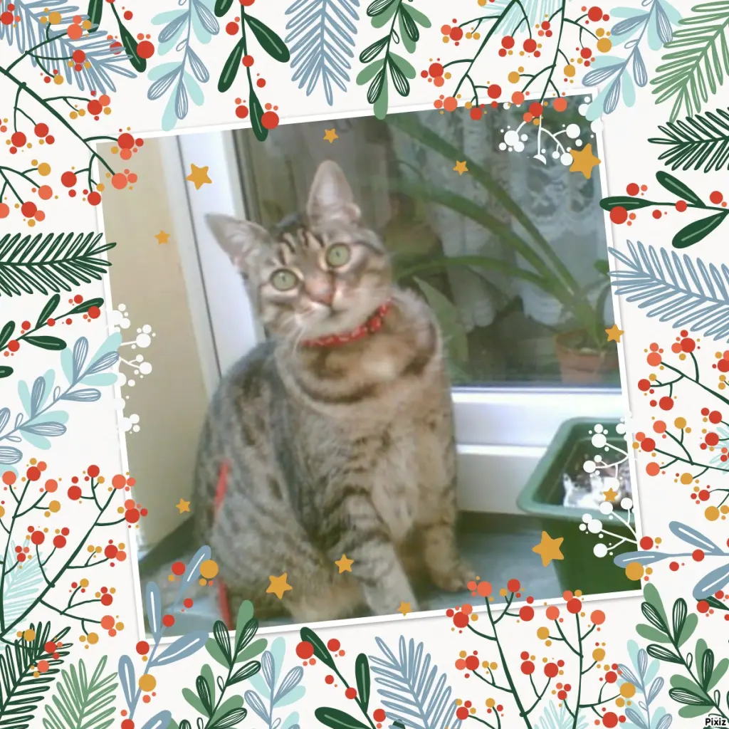 Andachtsbild von Tanja mit Timmy im Herzen 