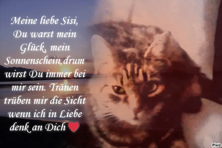 Andachtsbild von Für das liebste Geschenk meines Lebens ❤️