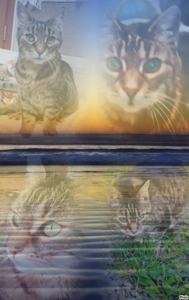 Andachtsbild von Für Dich mein kleines Sonnele ❤️