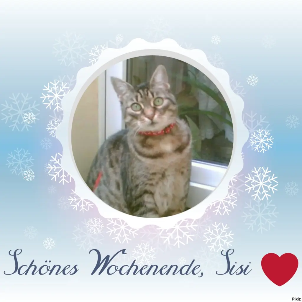 Andachtsbild von Tanja mit Timmy im Herzen 