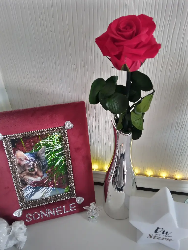 Andachtsbild von Für Dich mein kleines Sonnele ❤️