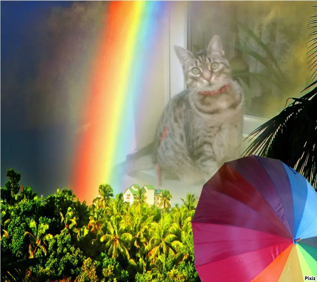 Andachtsbild von Tanja mit Timmy im Herzen 