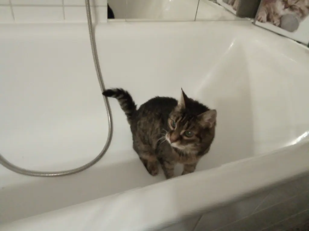 Andachtsbild von Für meinen kleinen Sonnenschein ❤️