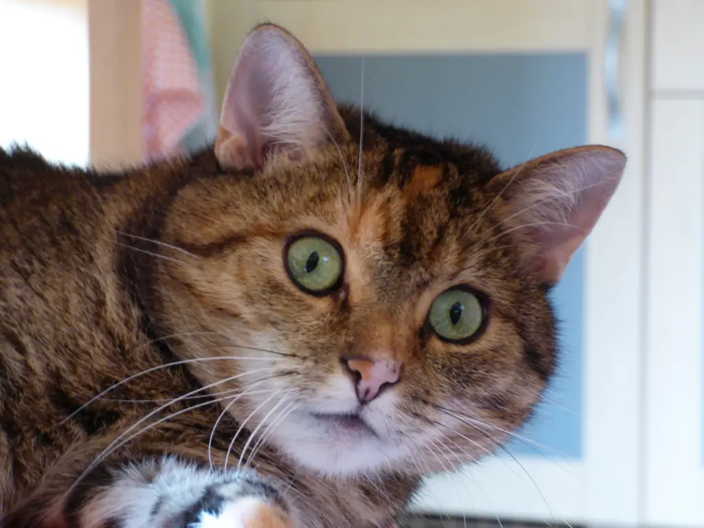 Andachtsbild von Daniela mit Pauline im ♥️