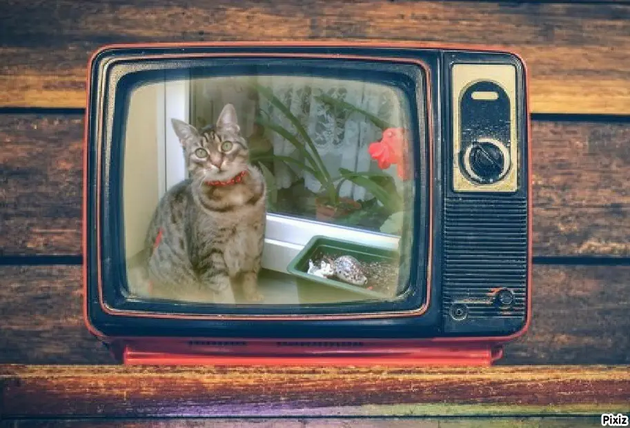 Andachtsbild von Tanja mit Timmy im Herzen 