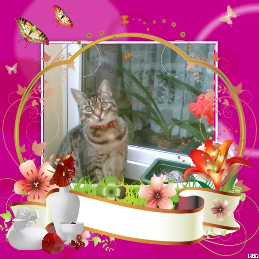 Andachtsbild von Tanja mit Timmy im Herzen