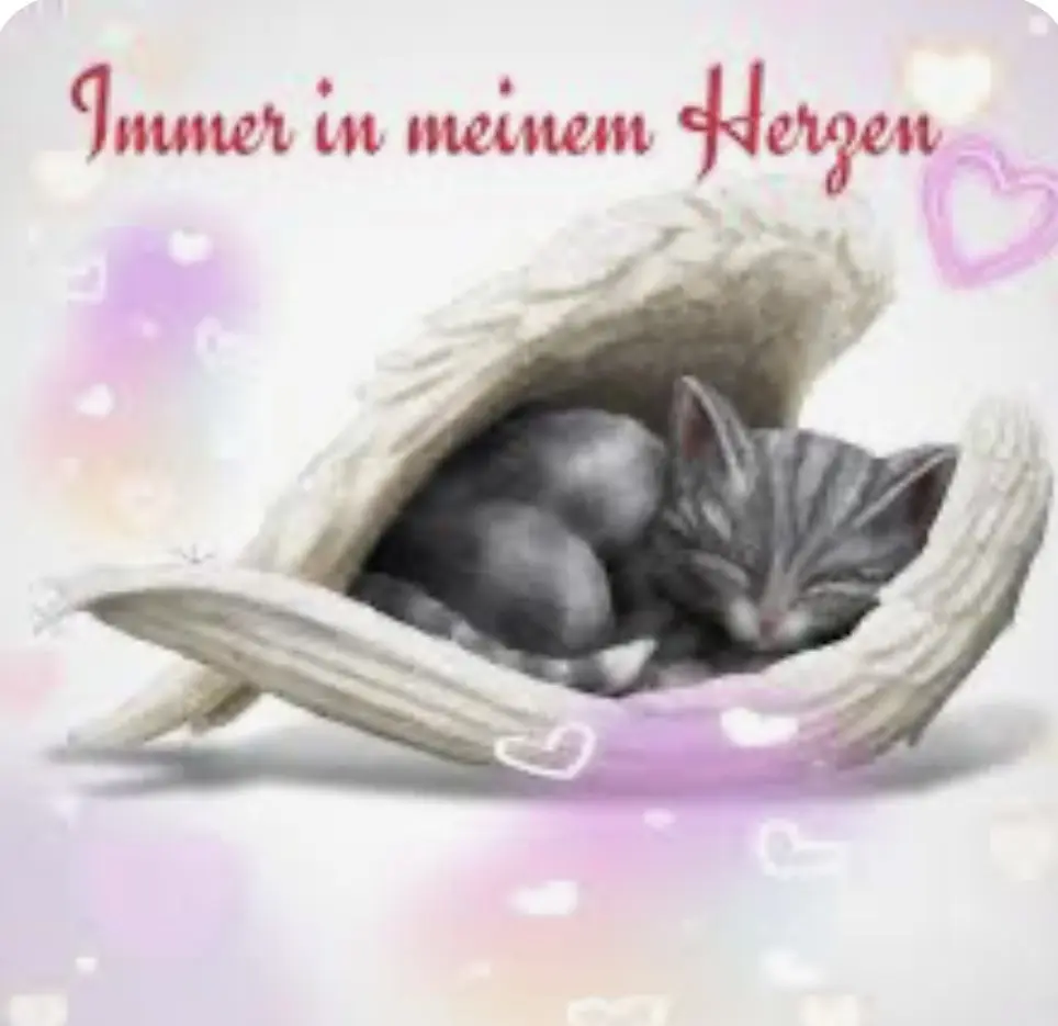 Andachtsbild von An Sonnele