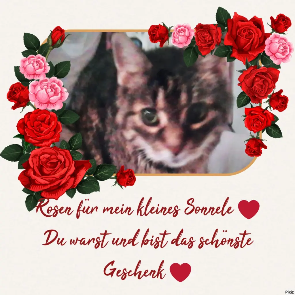 Andachtsbild von Für mein allerliebstes kleines Sonnele ❤️