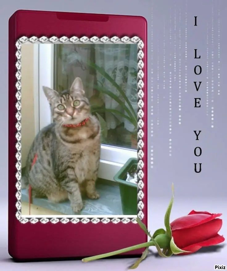 Andachtsbild von Tanja mit Timmy im Herzen 