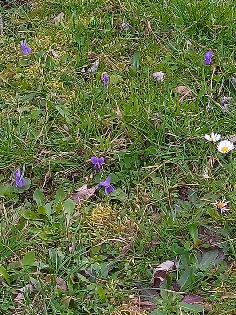 Andachtsbild von Für Dich mein süßer kleiner Sonnenschein ♥️