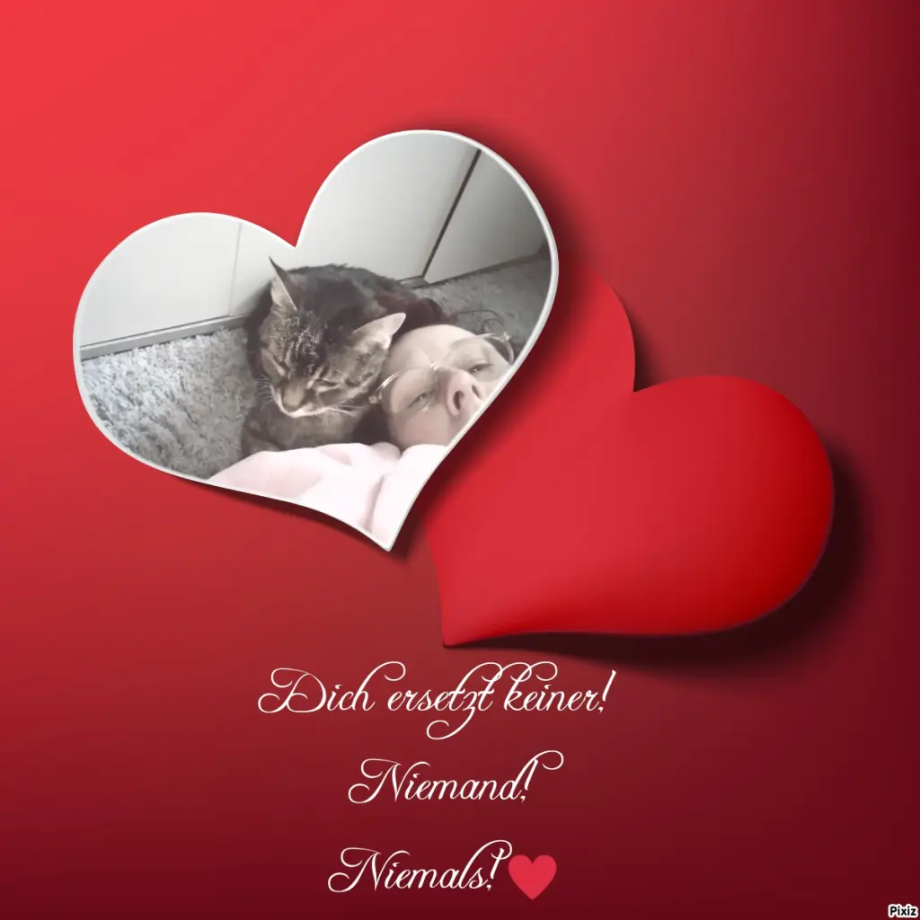 Andachtsbild von Für Dich mein kleiner Sonnenschein ♥️