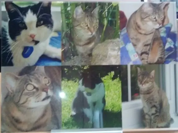 Andachtsbild von an Prinzessin Sisi und ihre Mama Netti