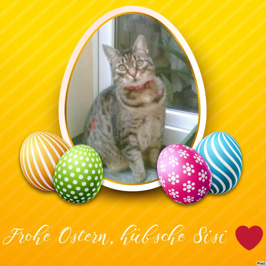 Andachtsbild von Tanja mit Timmy im Herzen 