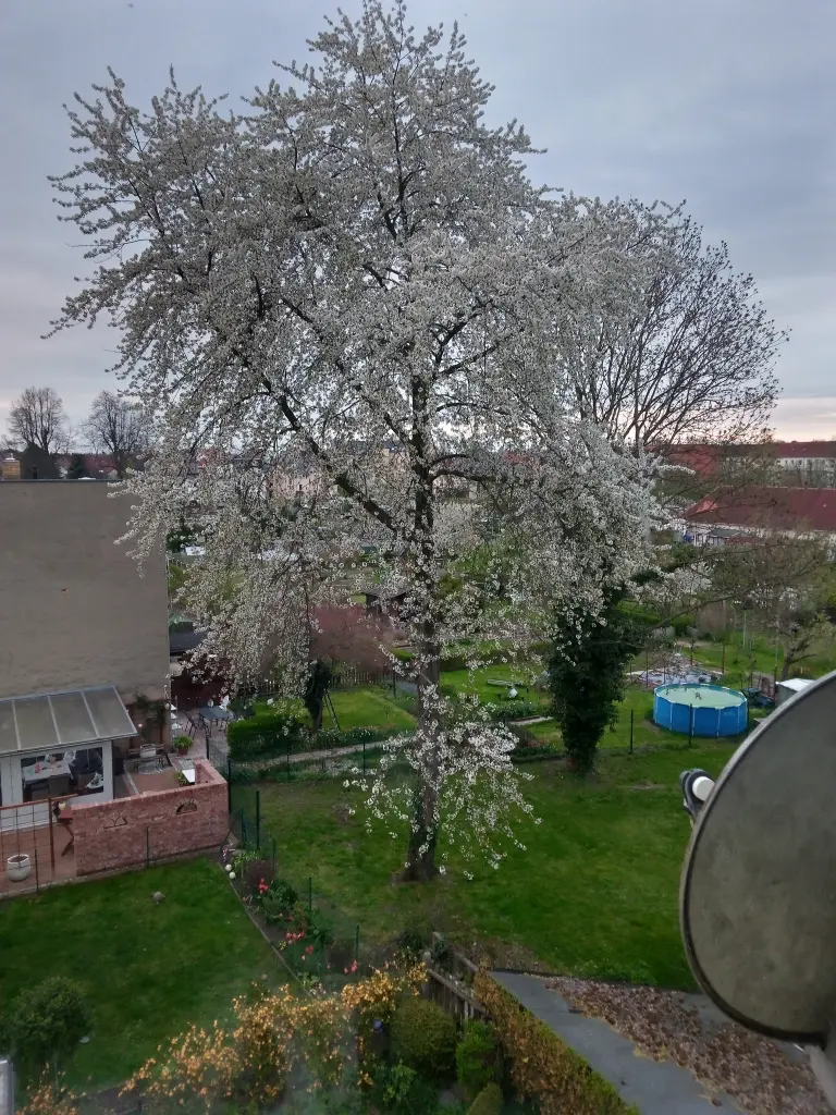 Andachtsbild von Für Dich mein größter Schatz Sonnele ♥️