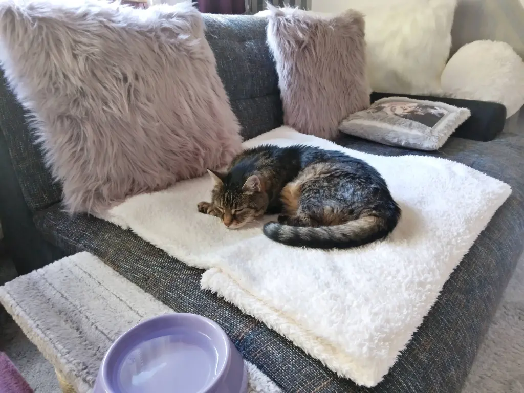 Andachtsbild von Für Dich mein kleines Puppikind ❤️