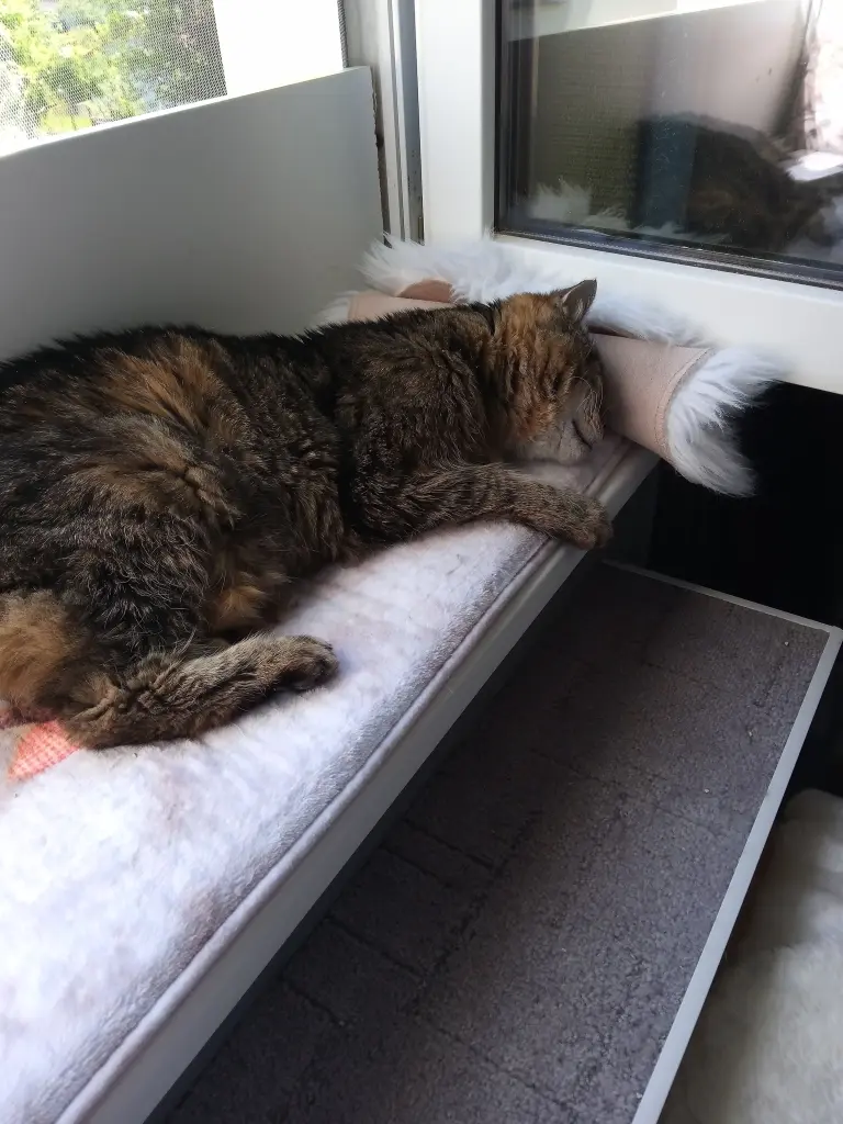 Andachtsbild von Für meinen allerliebsten kleinen Schatz ♥️