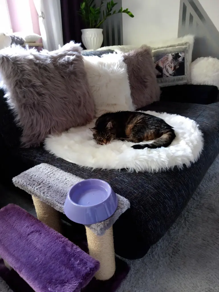 Andachtsbild von Für Dich mein kleines Puppikind ❤️