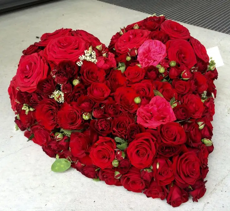 Andachtsbild von Für Dich mein geliebter kleiner Sonnenschein ♥️