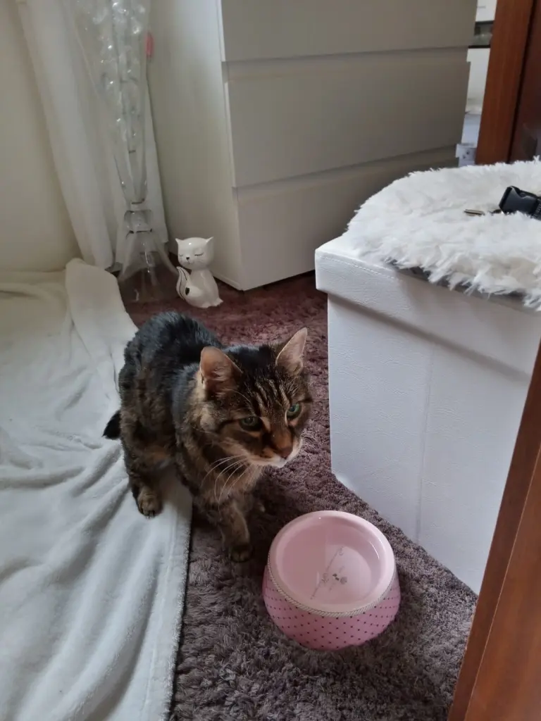 Andachtsbild von Für Dich mein allerliebster kleiner Schatz ♥️