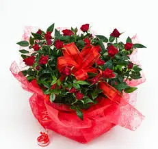 Andachtsbild von Marple und Christie an Sisi ♥♥