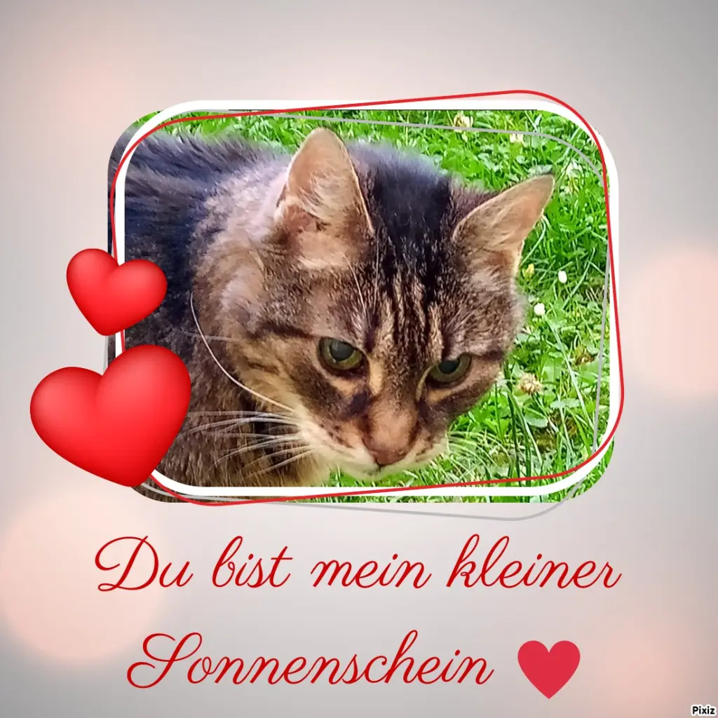 Andachtsbild von Für meinen allerliebsten kleinen Schatz ♥️
