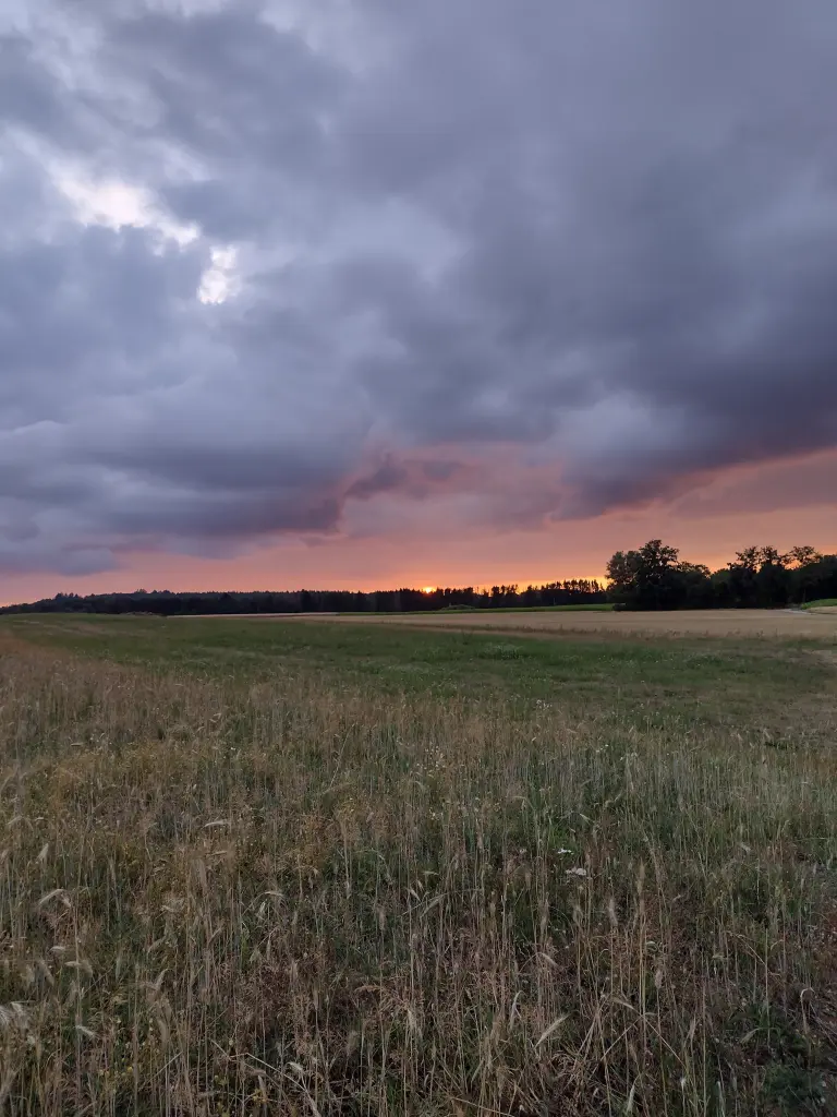 Andachtsbild von Corinna mit Emma, Pummelchen und anderen Sternlein im ❤️