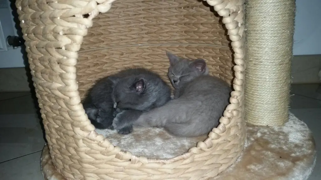 Andachtsbild von An Sonnele