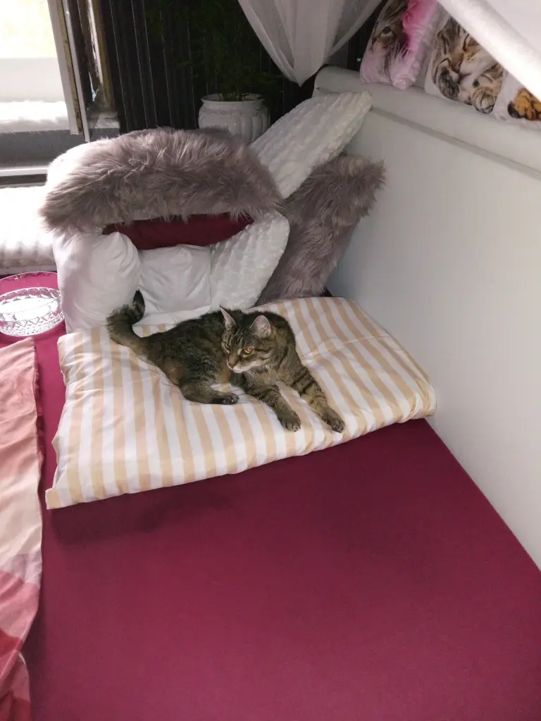 Andachtsbild von Für Dich mein kleiner Sonnenschein ♥️